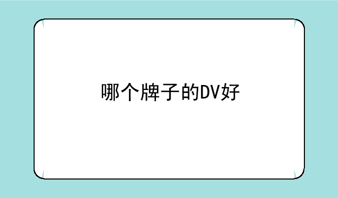 哪个牌子的DV好