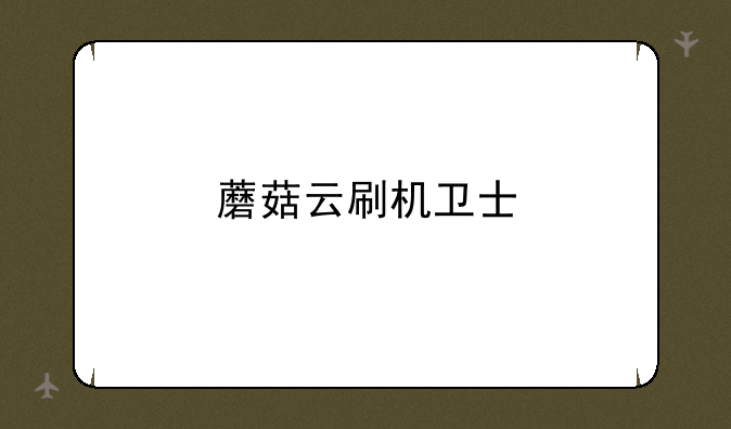 蘑菇云刷机卫士