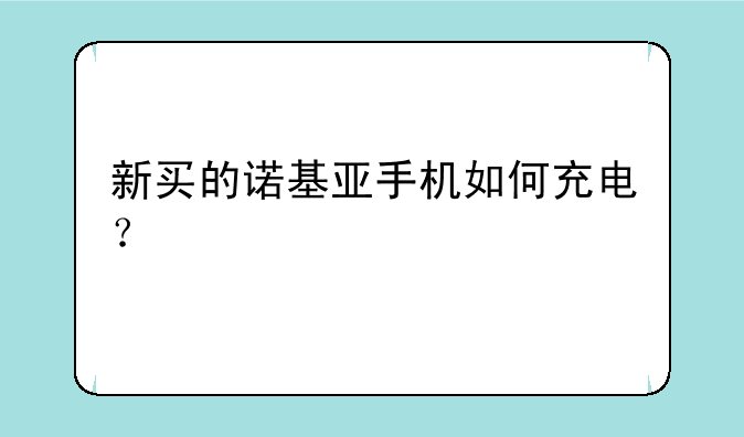 新买的诺基亚手机如何充电？