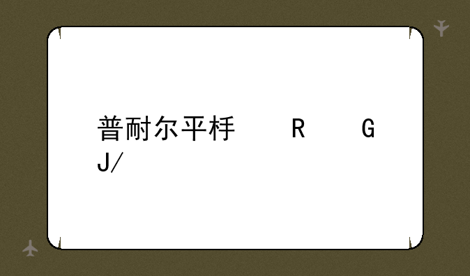 普耐尔平板电脑咋样