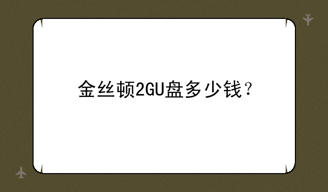 金丝顿2GU盘多少钱？