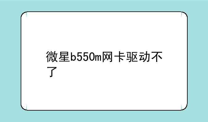 微星b550m网卡驱动不了