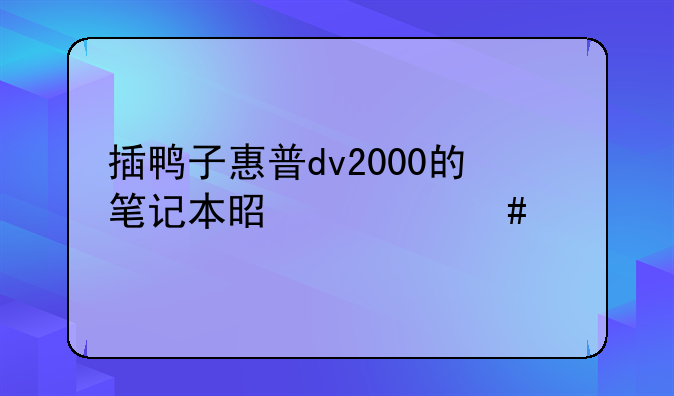 插鸭子惠普dv2000的笔记本是什么屏