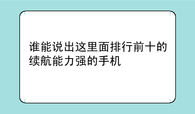 谁能说出这里面排行前十的续航能力强的手机