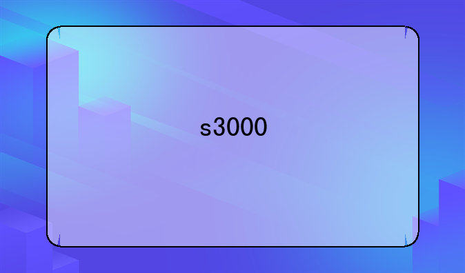 s3000