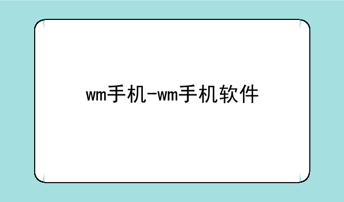 wm手机-wm手机软件