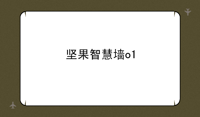 坚果智慧墙o1