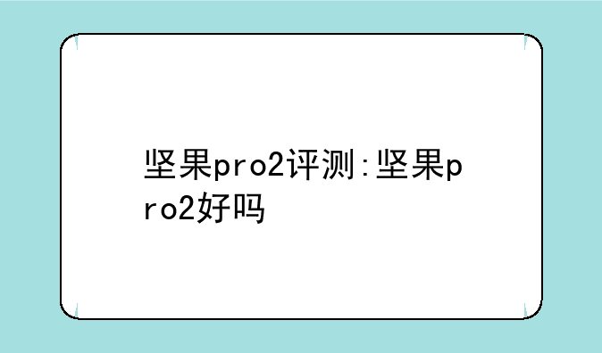 坚果pro2评测:坚果pro2好吗