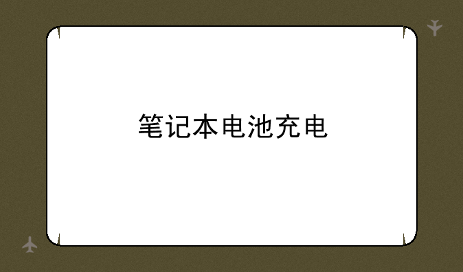 笔记本电池充电