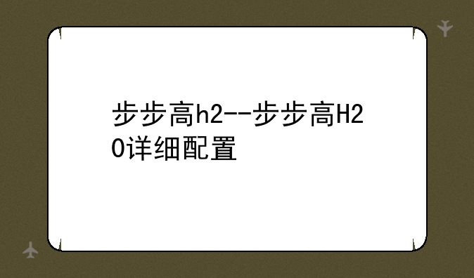 步步高h2--步步高H20详细配置