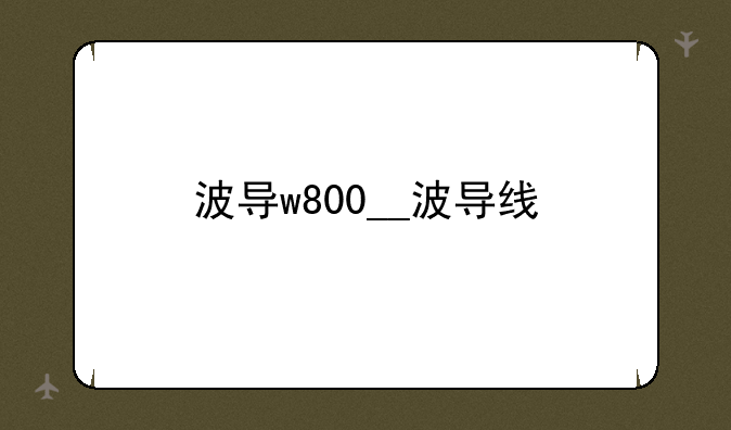 波导w800__波导线