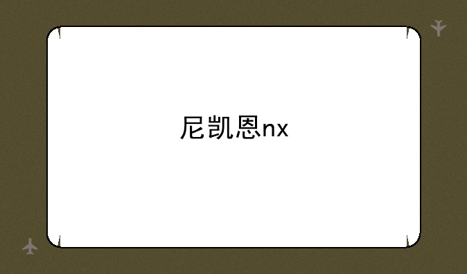 尼凯恩nx