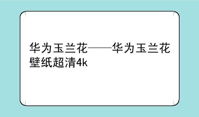 华为玉兰花——华为玉兰花壁纸超清4k