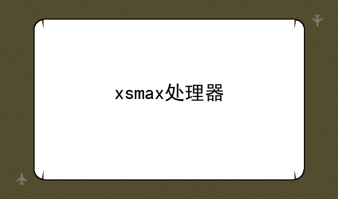 xsmax处理器